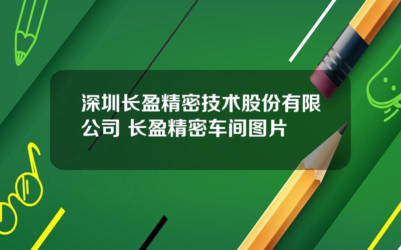 深圳长盈精密技术股份有限公司 长盈精密车间图片